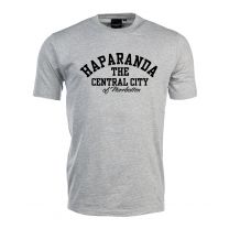 Haparanda, Central City T-shirt Herr Grå